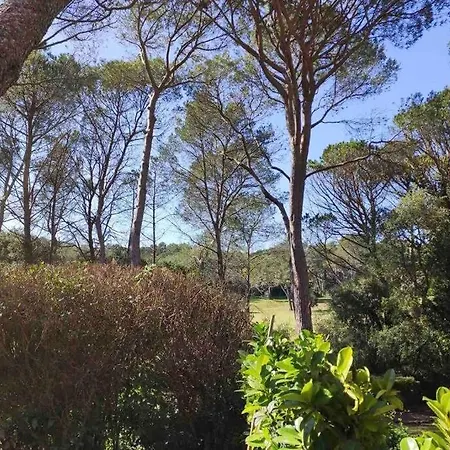 Joli T2 Golfs De Valescure, Jardin Privé, Piscine Et Tennis Dans La Résidence Appartamento Saint-Raphaël