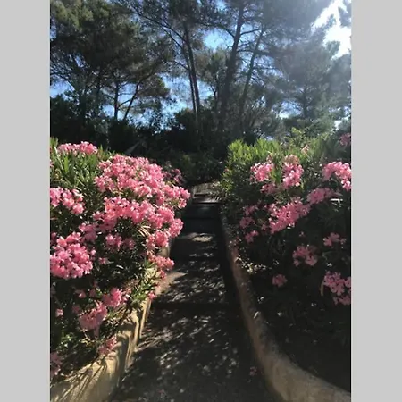 Appartamento Joli T2 Golfs De Valescure, Jardin Privé, Piscine Et Tennis Dans La Résidence Saint-Raphaël